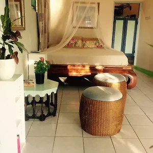  Habitación en casa particular Magical Garden