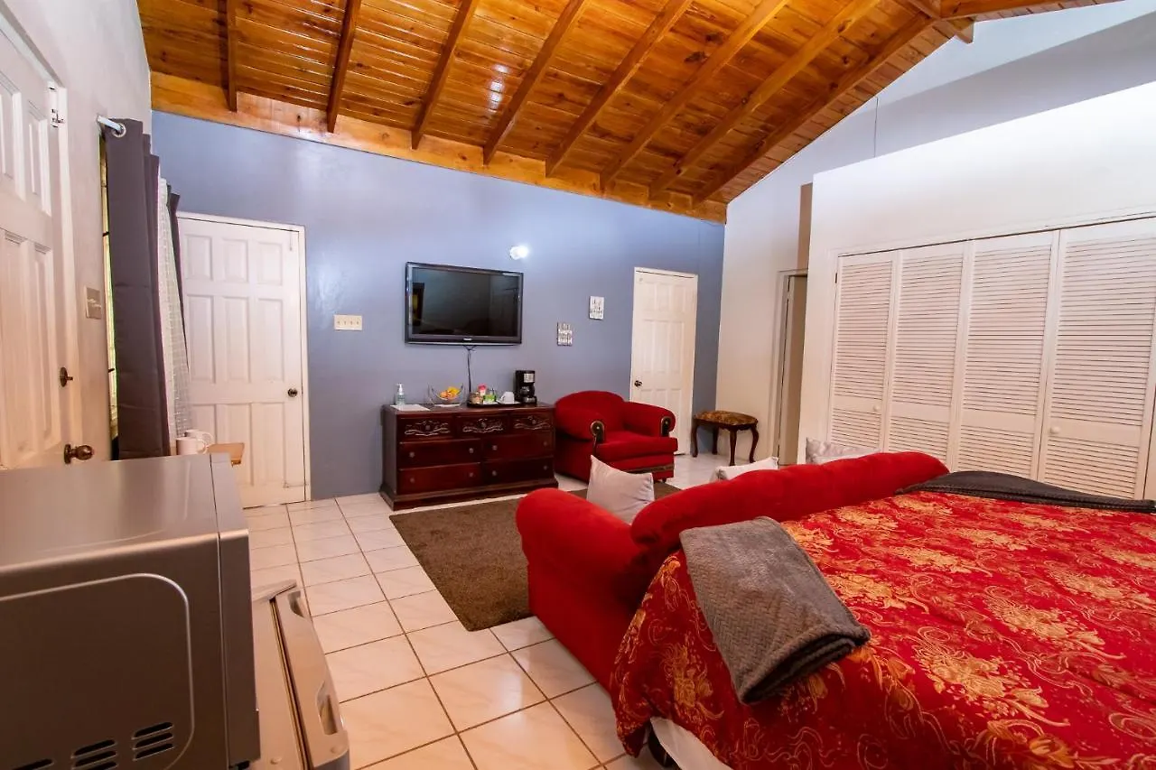 876 Ja Oasis & Homestay - By Kingston Airport