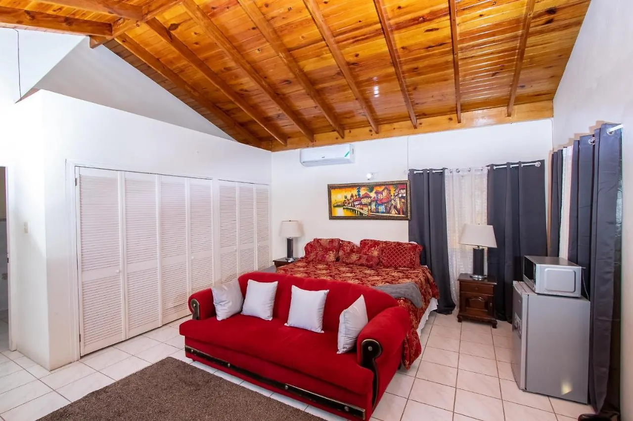 876 Ja Oasis & Homestay - By Kingston Airport Jamaica