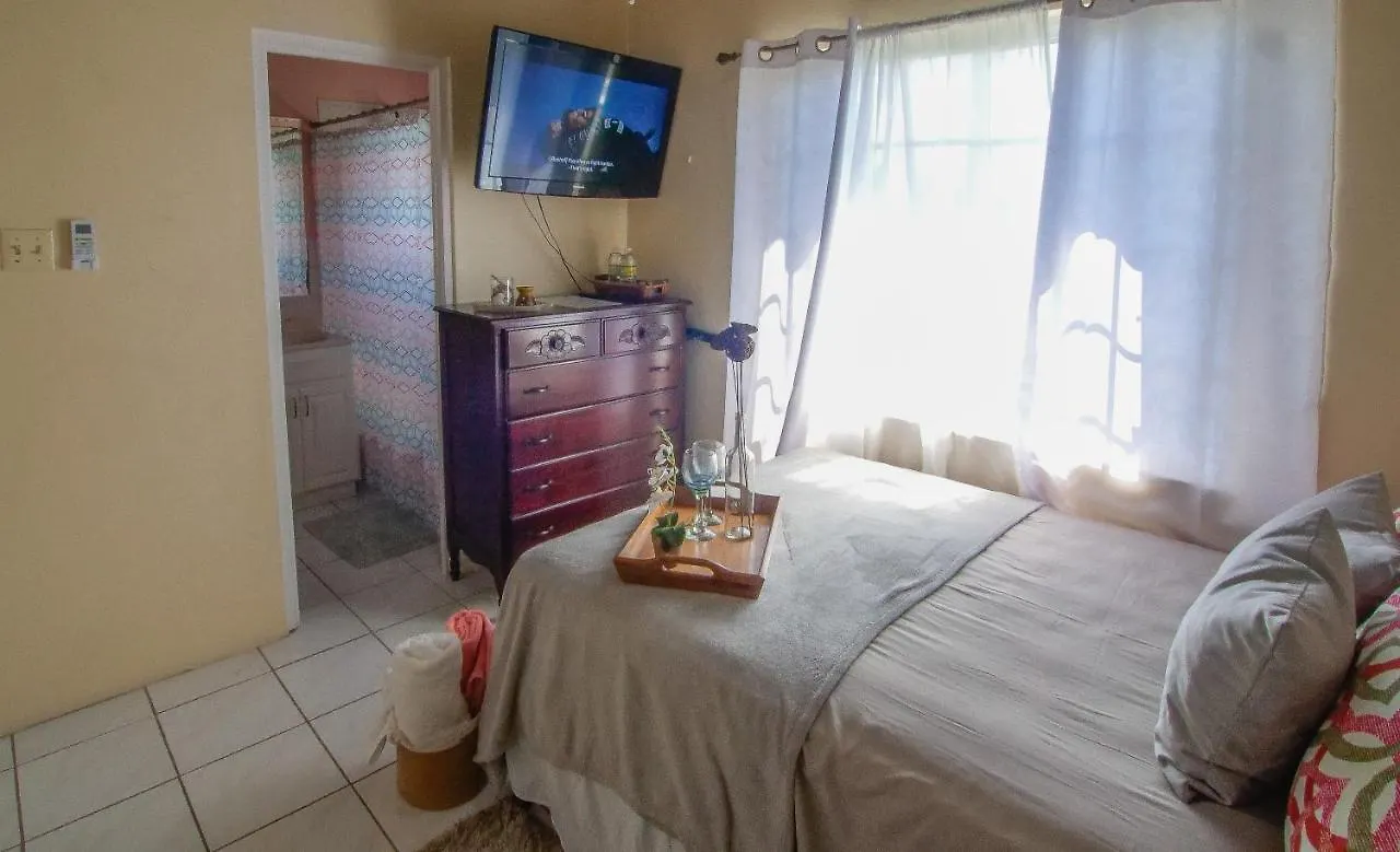 876 Ja Oasis & Homestay - By Kingston Airport