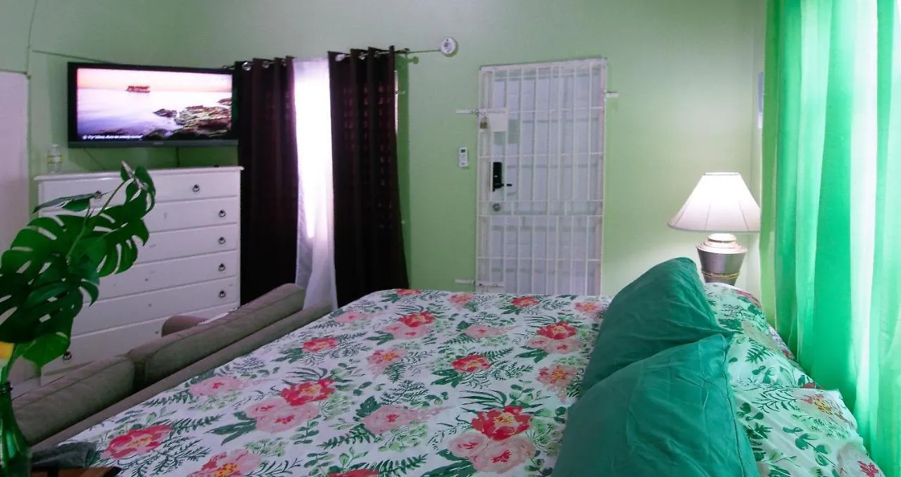 876 Ja Oasis & Homestay - By Kingston Airport